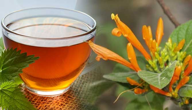 Té de Insulina Para Bajar El Azúcar